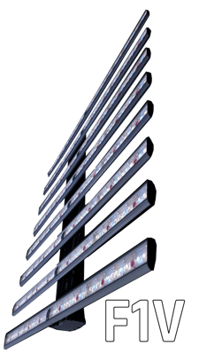 F1VFixture-Name F1VFixture-Name