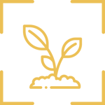 FOHSE_Commercial_Grow_Icon-Commercial-Grow