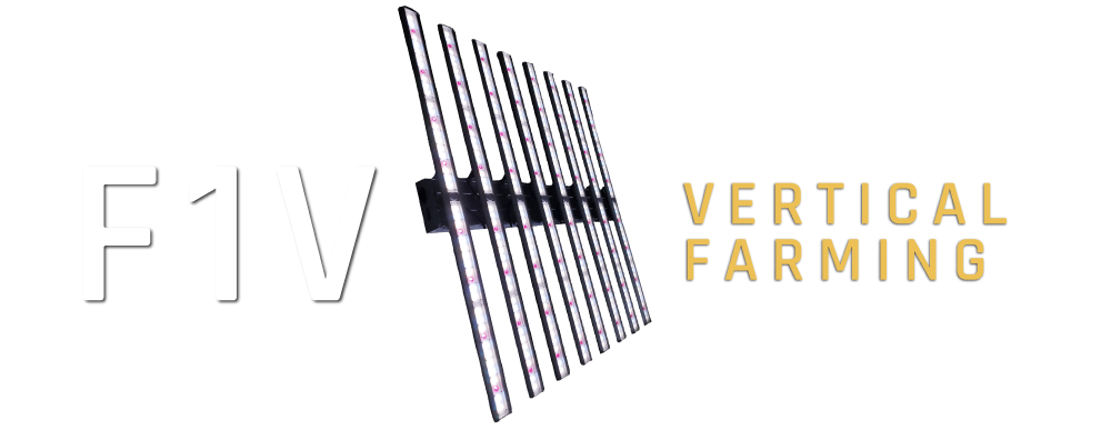 F1VHeaderImage3 F1VHeaderImage3